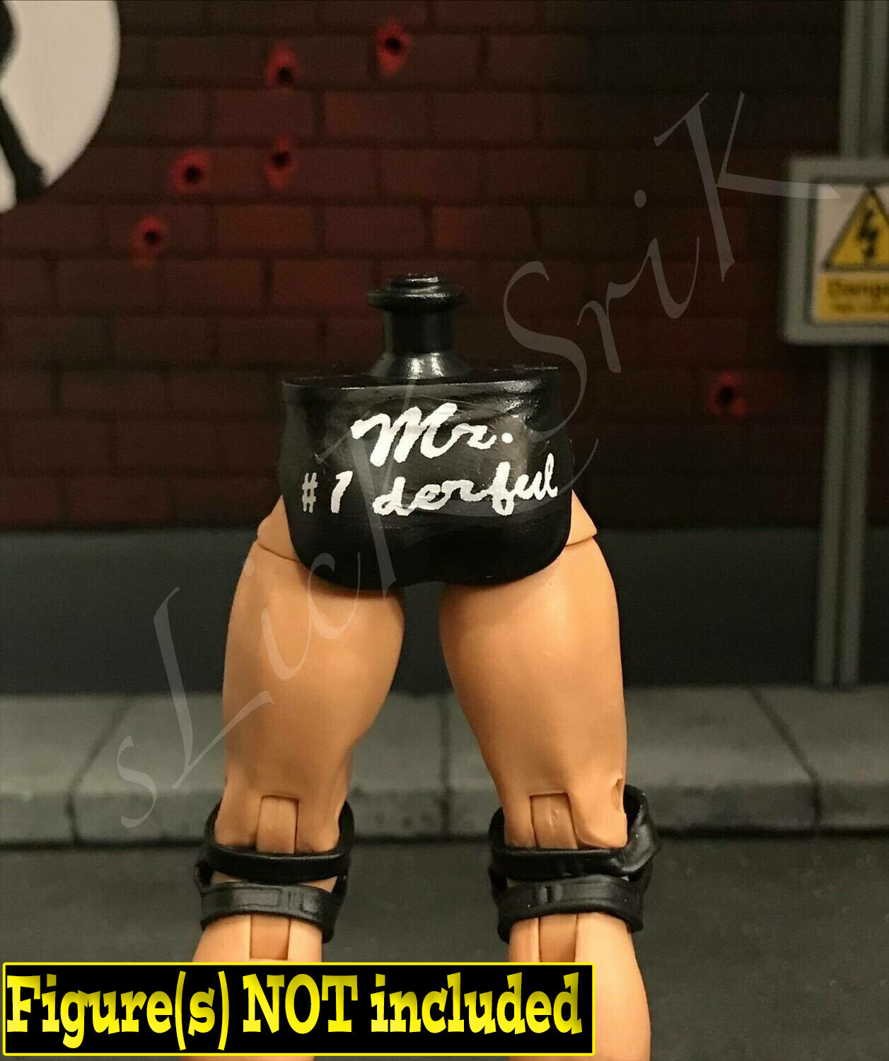 Paul Orndorff v1