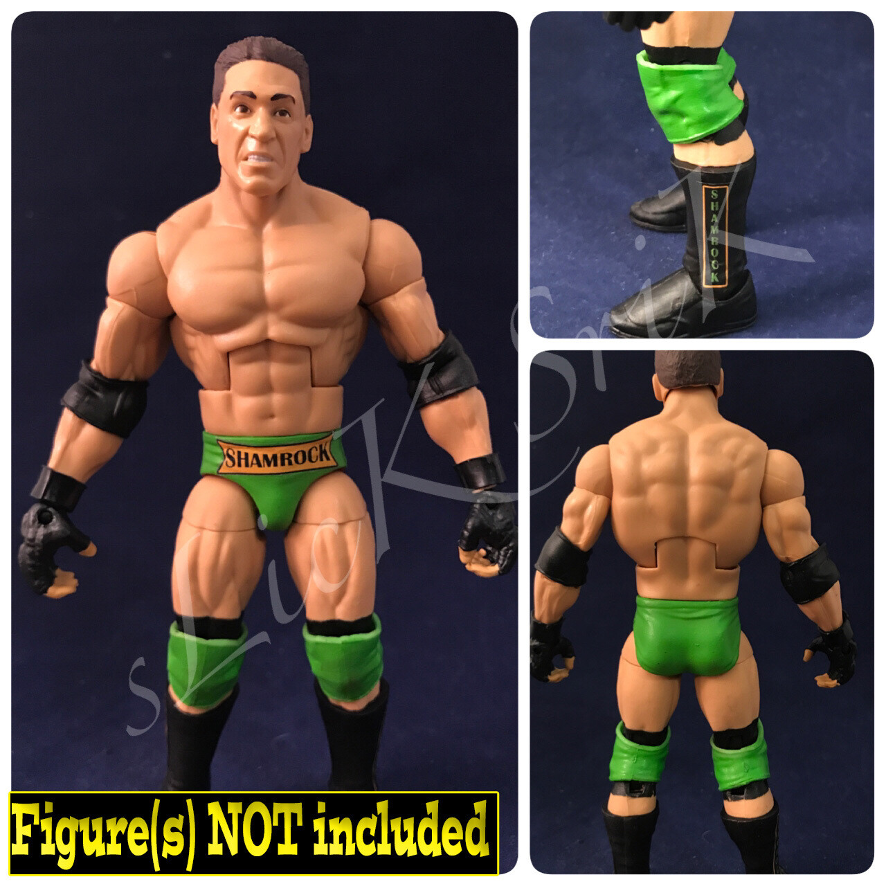 Ken Shamrock: WWE Summerslam (1999)