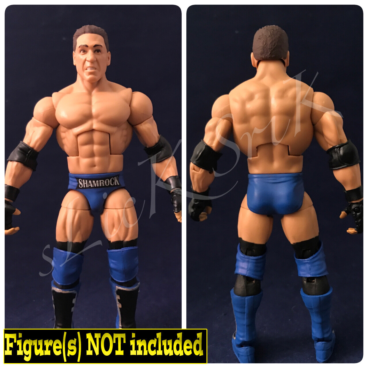 Ken Shamrock: WWE Royal Rumble (1999)