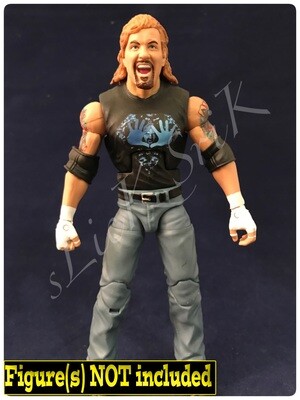 Diamond Dallas Page( DDP): WCW