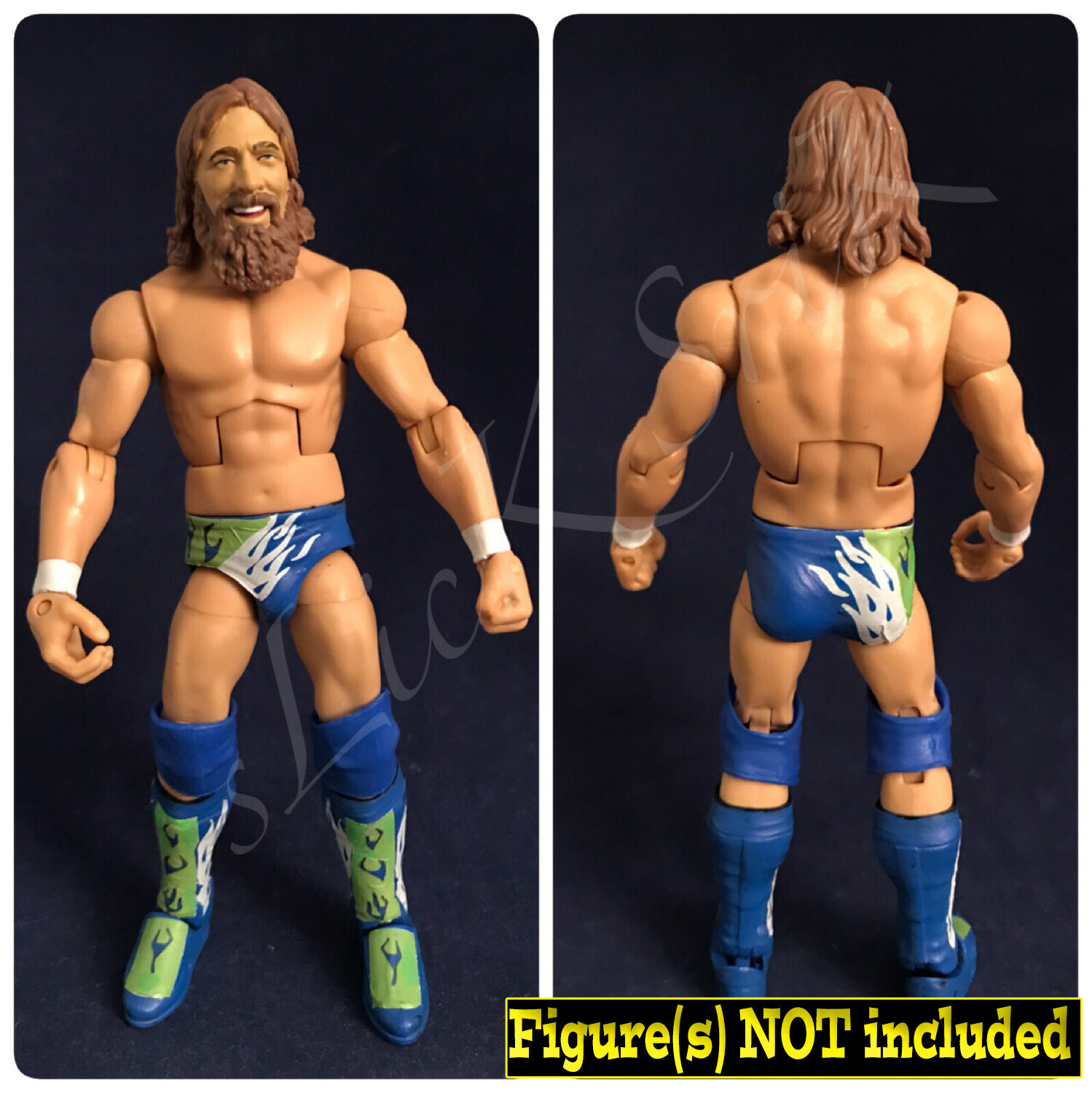 Daniel Bryan: WWE Summerslam (2018)