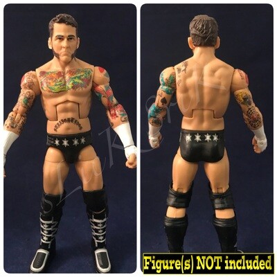 CM Punk: WWE Royal Rumble (2014)