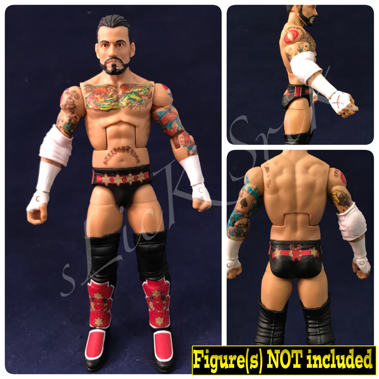CM Punk: WWE Payback (2013)
