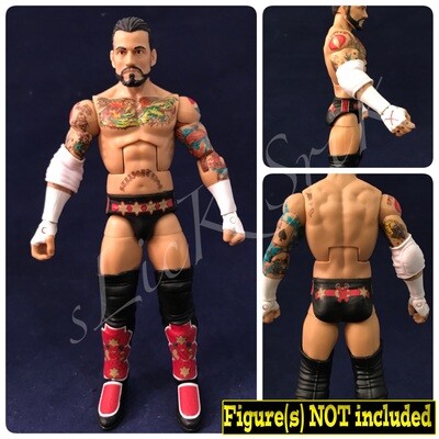 CM Punk: WWE Payback (2013)