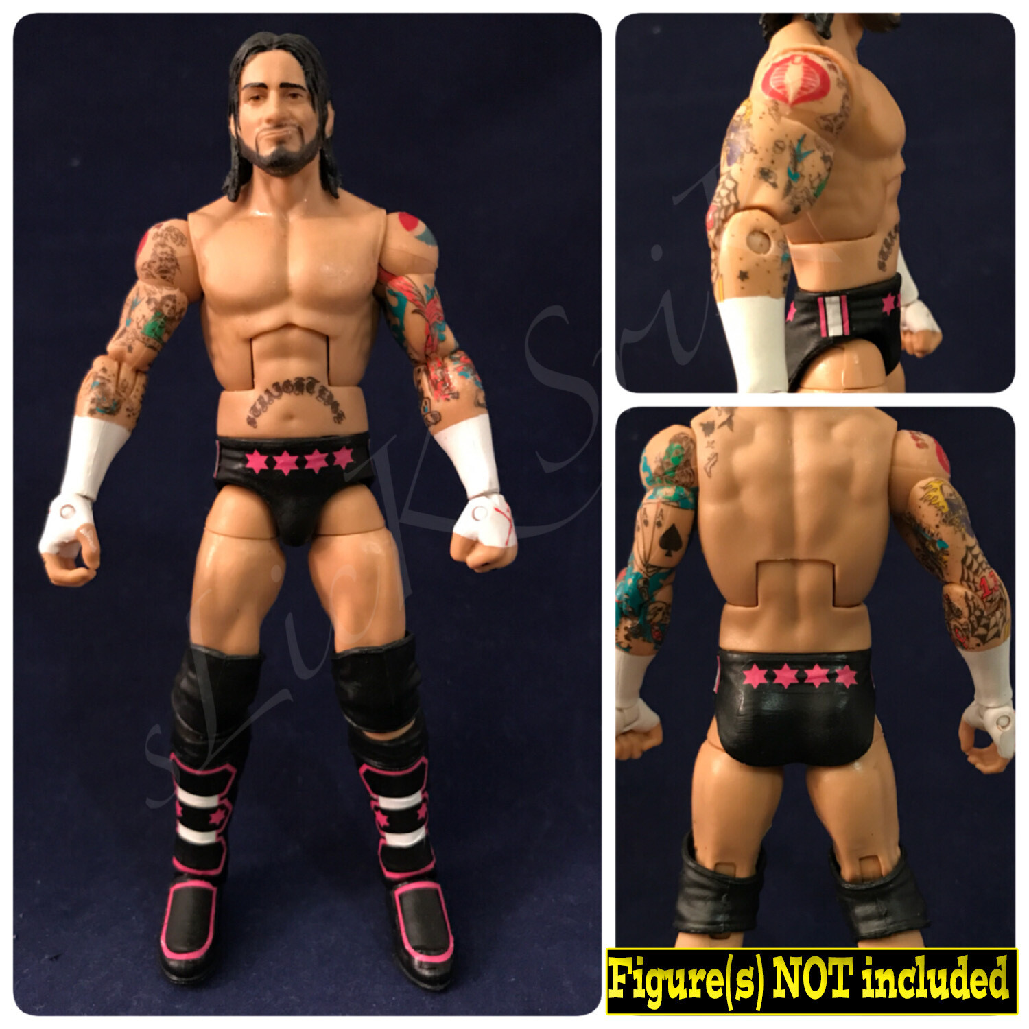 CM Punk: WWE Wrestlemania 25 (2009)