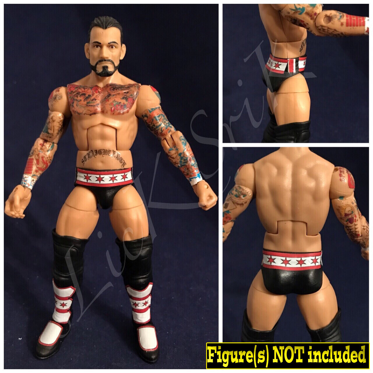 CM Punk: WWE Summerslam (2011)