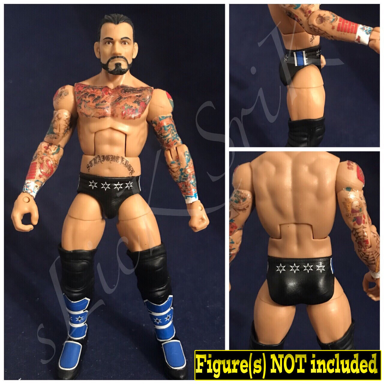 CM Punk: WWE Royal Rumble (2012)