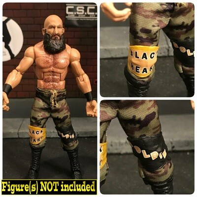 Ciampa: NXT Takeover Portland (2020)