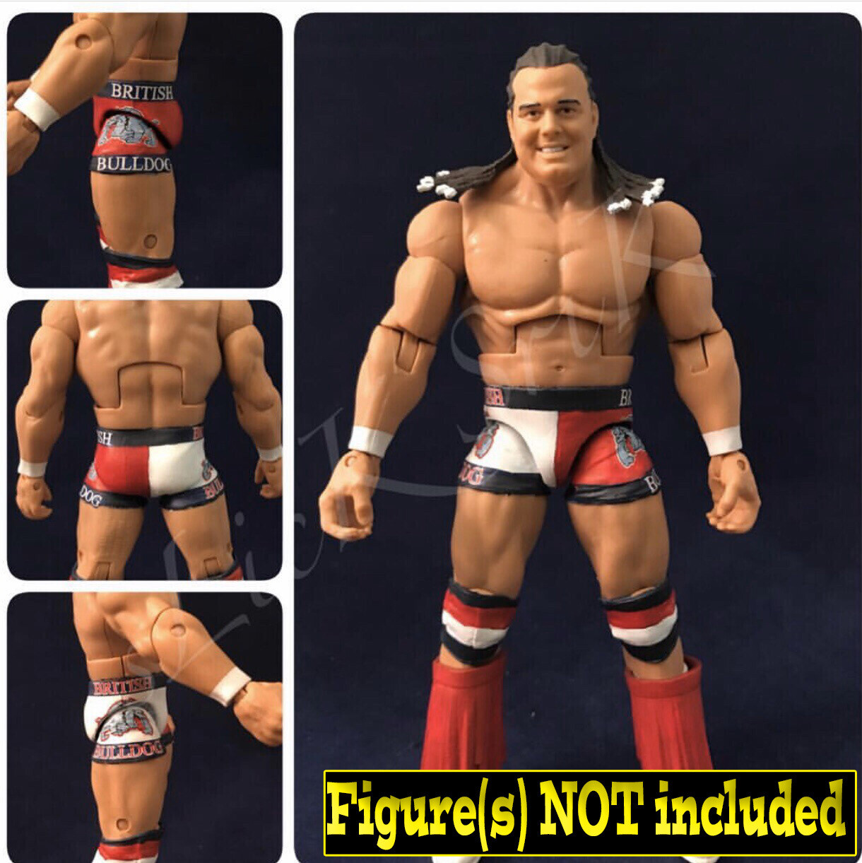 British Bulldog: WWE Royal Rumble (1995)
