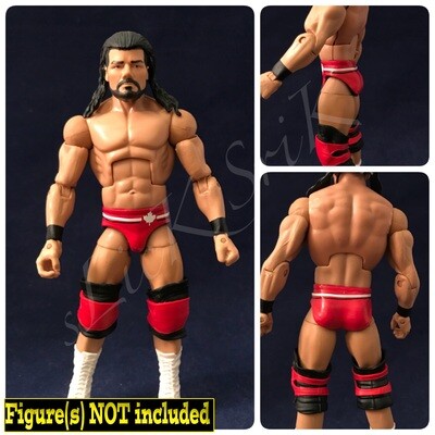 Bobby Roode: TNA Team Canada