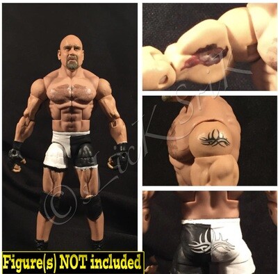 Bill Goldberg: WWE Bad Blood (2003)