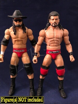 Beer Money (Bobby Roode &amp; James Storm)