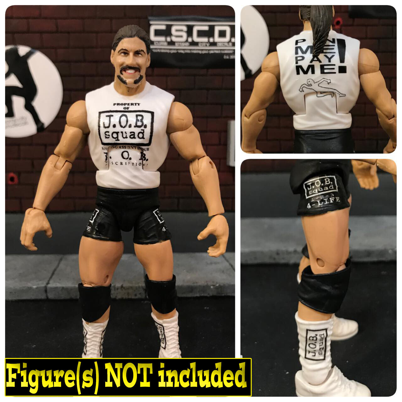 Al Snow: Property of Job Squad