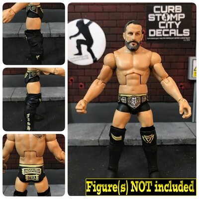 Bobby Fish: NXT Fantasy Attire