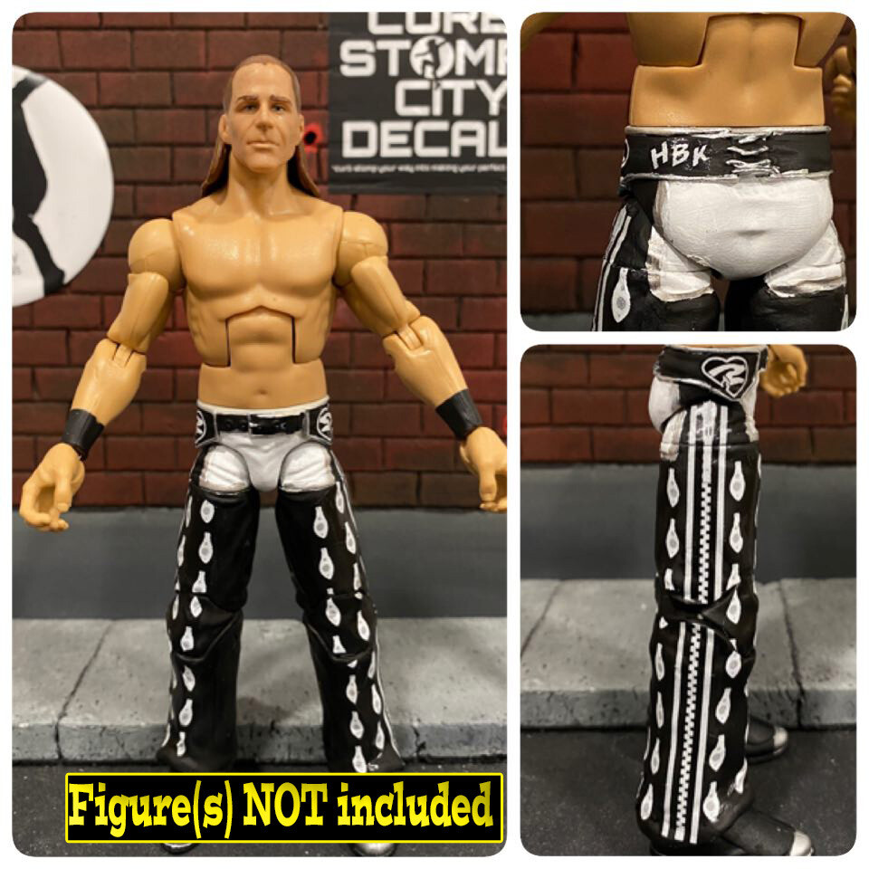 Shawn Michaels: WWE Summerslam (2005)