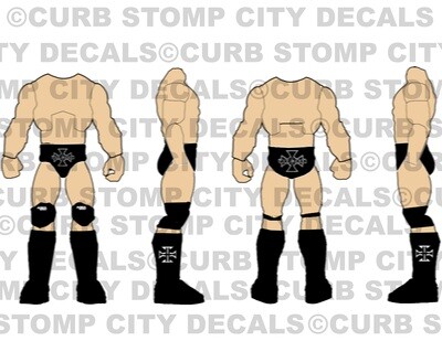 Triple H: WWE New Year&#39;s Revolution (2005)