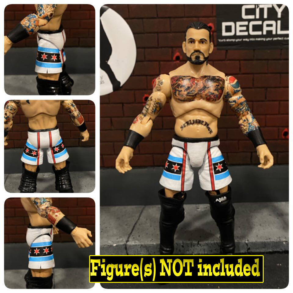 CM Punk: November PPV (2021)