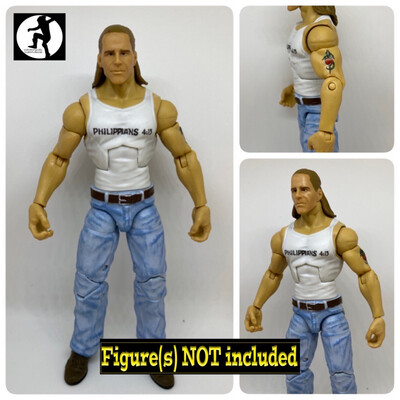 Shawn Michaels: WWE Summerslam (2002)
