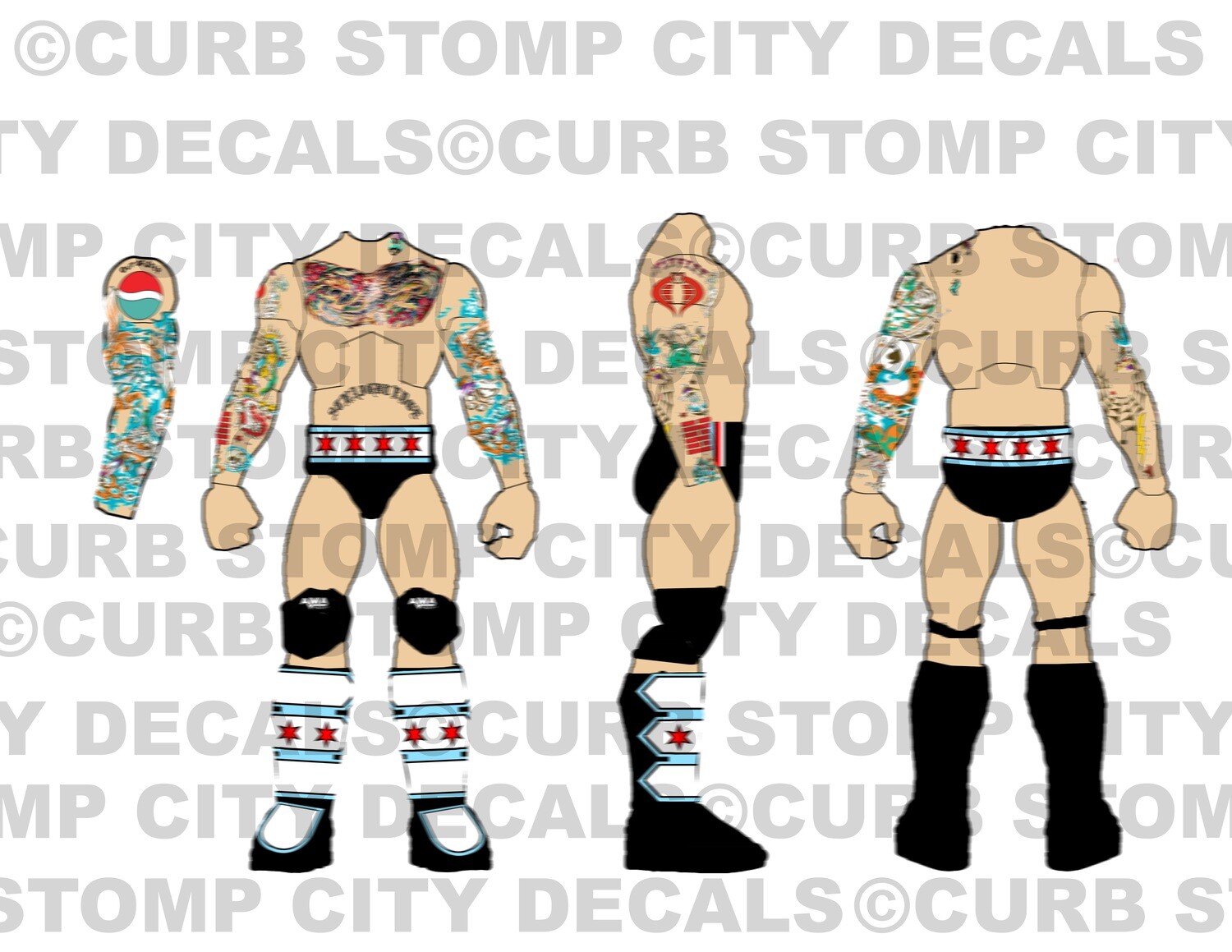 CM Punk: WWE Money in the Bank (2011)