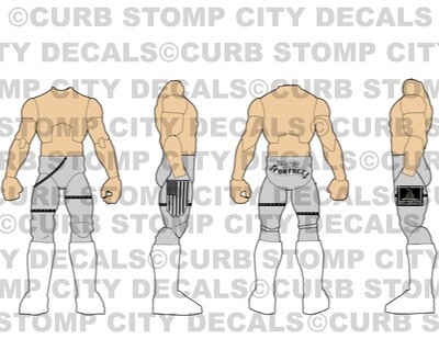 Dolph Ziggler: WWE Summerslam (2016)