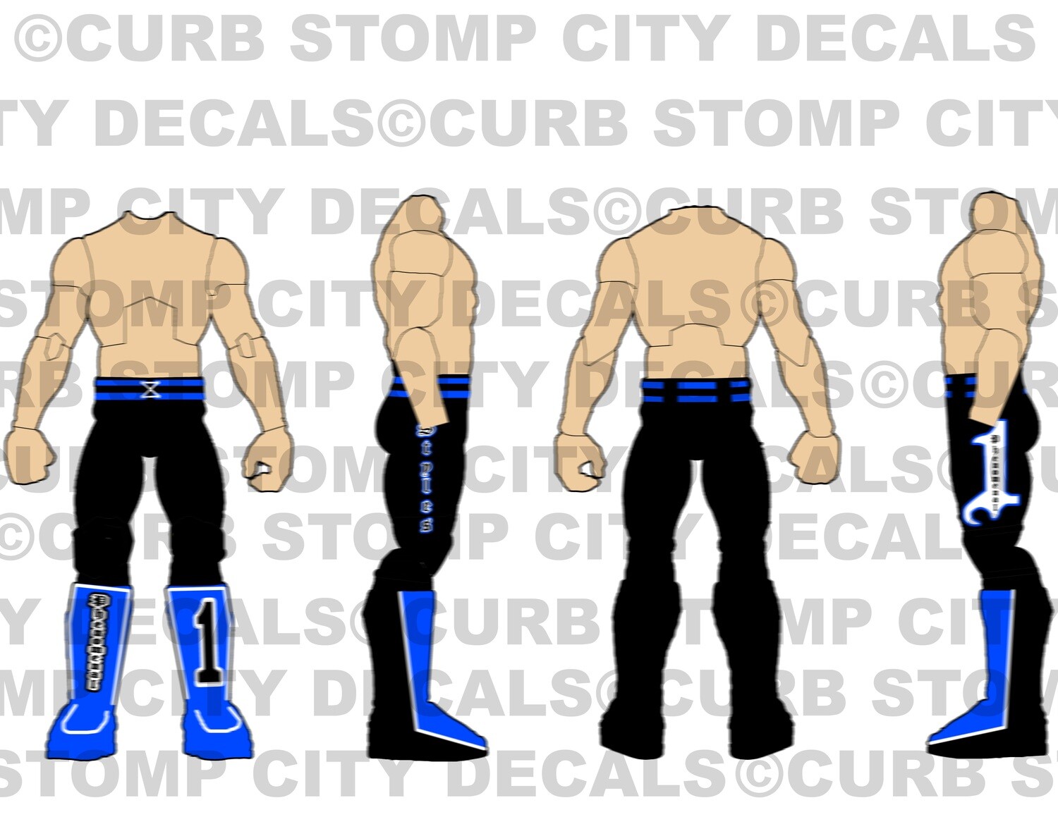 AJ Styles: WWE Royal Rumble (2016)