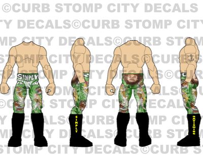 Rick Rude: WWE Wrestlemania 6 (1990)