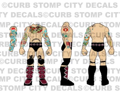 CM Punk: WWE Elimination Chamber (2025)