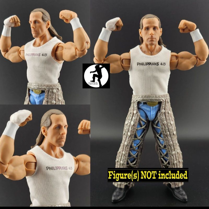 Shawn Michaels: WWE Summerslam (2002)