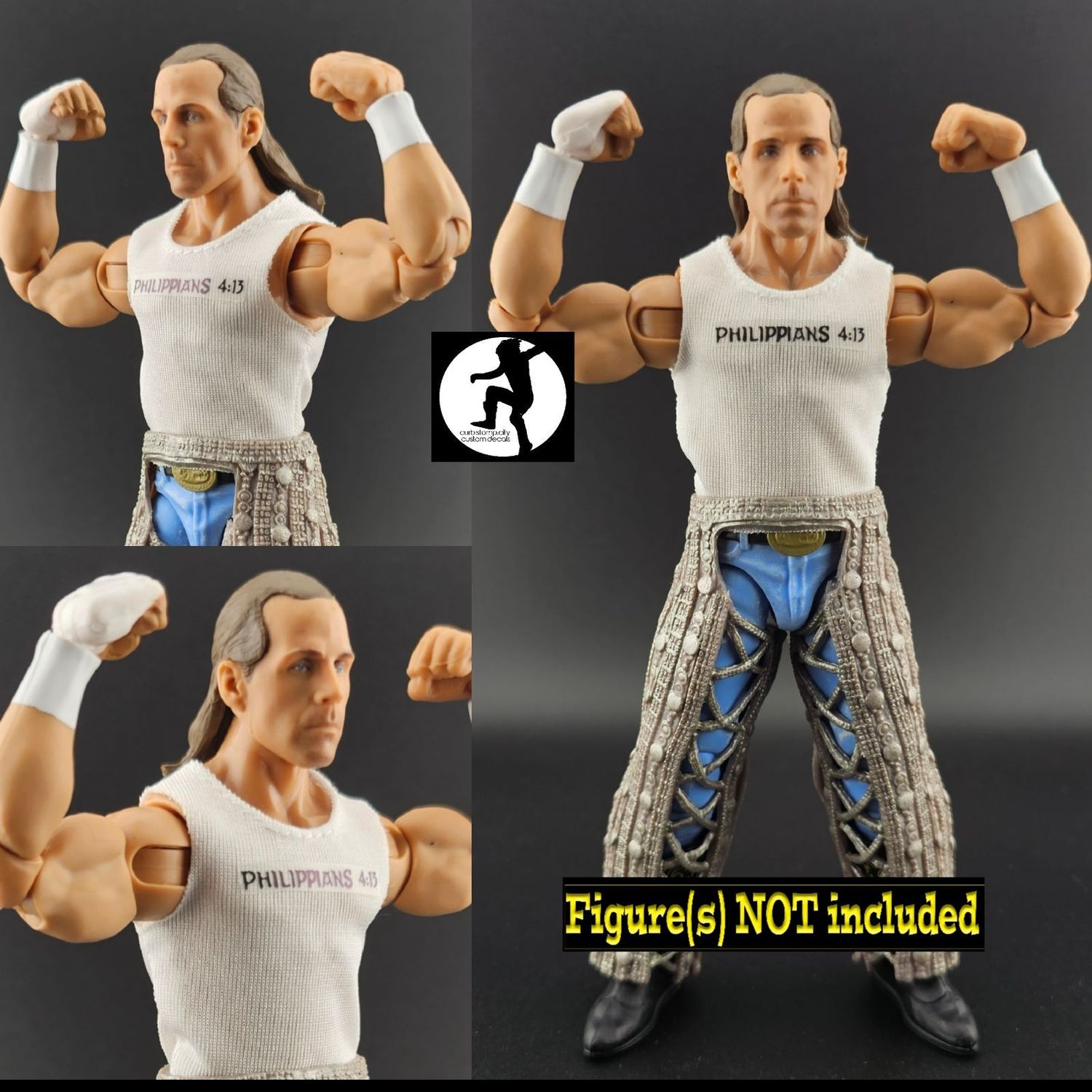 Shawn Michaels: WWE Summerslam (2002)