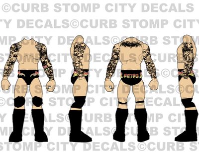 Randy Orton: WWE Backlash (2025)