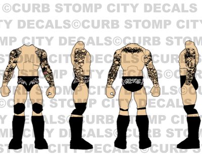 Randy Orton: WWE Hell in a Cell (2009)