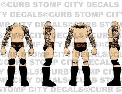 Randy Orton: WWE No Turning Point (2009)