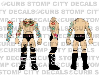 CM Punk: WWE Wrestlepalooza (2025)