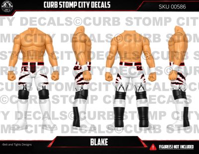 Blake and Murphy NXT