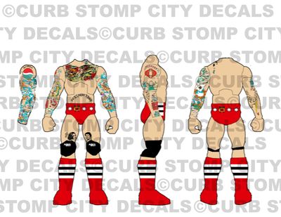 CM Punk: WWE Elimination Chamber (2026)