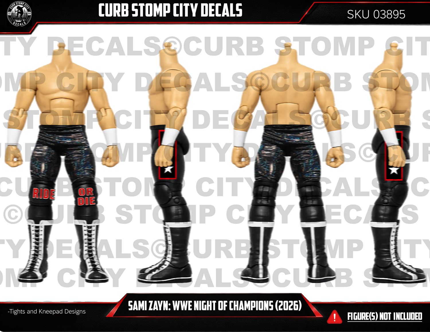 Sami Zayn: WWE Night of Champion (2026)