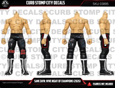 Sami Zayn: WWE Night of Champion (2026)