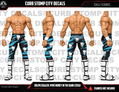 Dolph Ziggler: WWE Money in the Bank (2016)