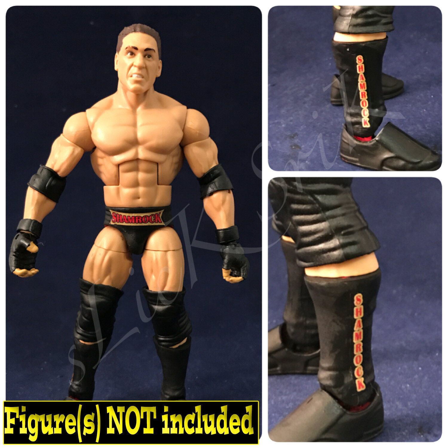 Ken Shamrock: WWE DX In Your House (1997)