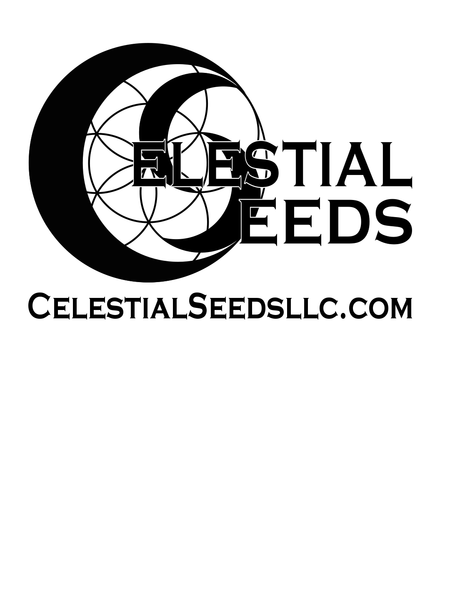 Online Store