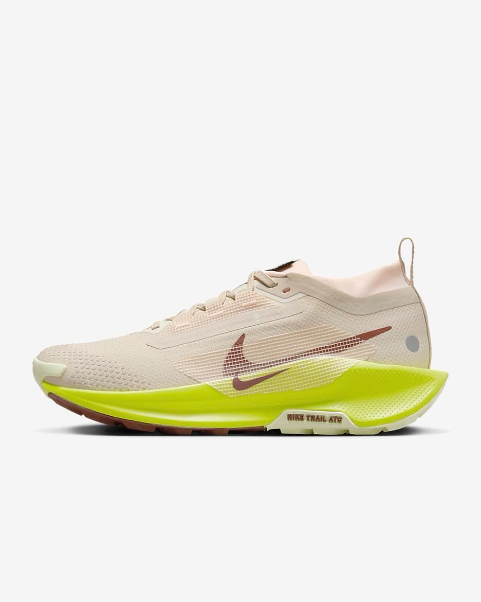 Nike Pegasus Trail 5 GORE-TEX