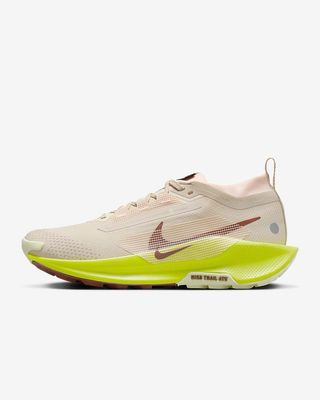 Nike Pegasus Trail 5 GORE-TEX