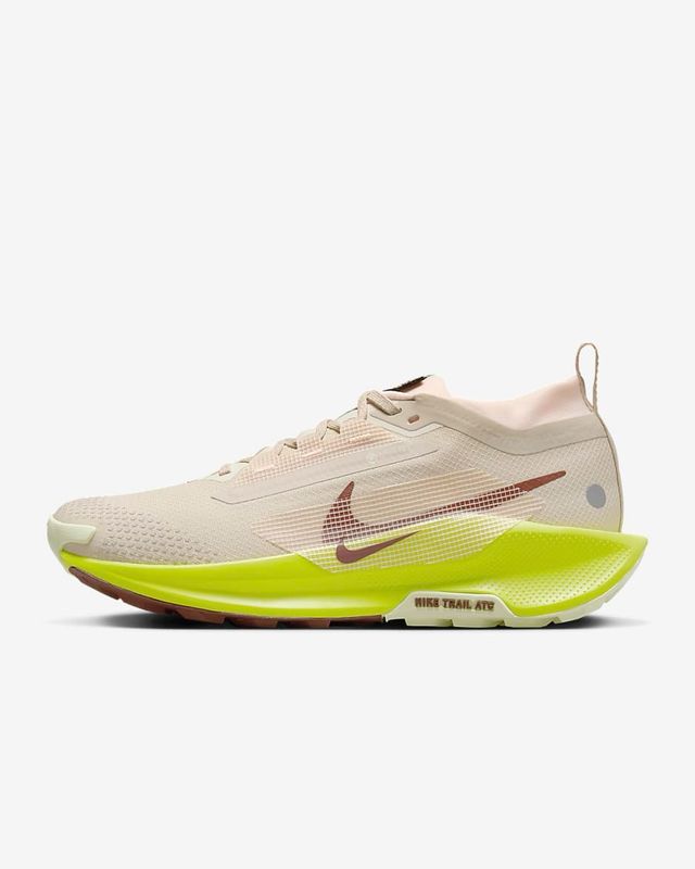 Nike Pegasus Trail 5 GORE-TEX