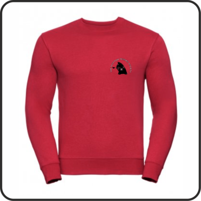 STS Embroidered Sweatshirt (262M)