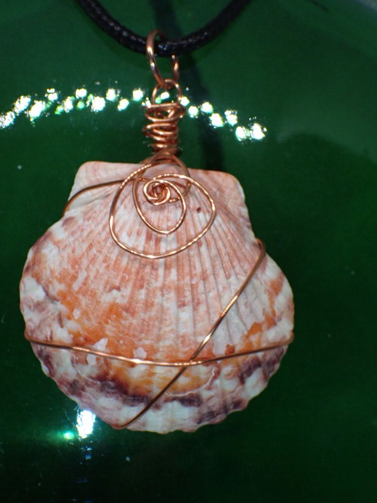Scallop Shell Wrapped in Copper Wire on a 16 in Black Cord Necklace