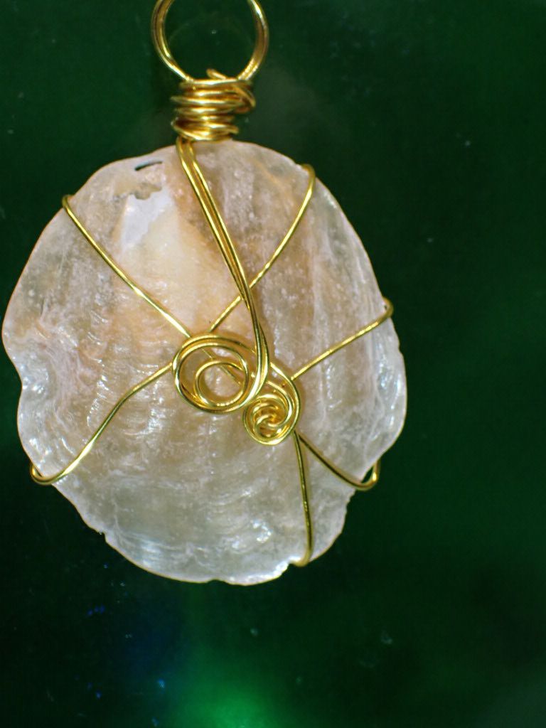 Jingle Shell Wrapped in Gold Wire on 16 inch Black Cord Necklace