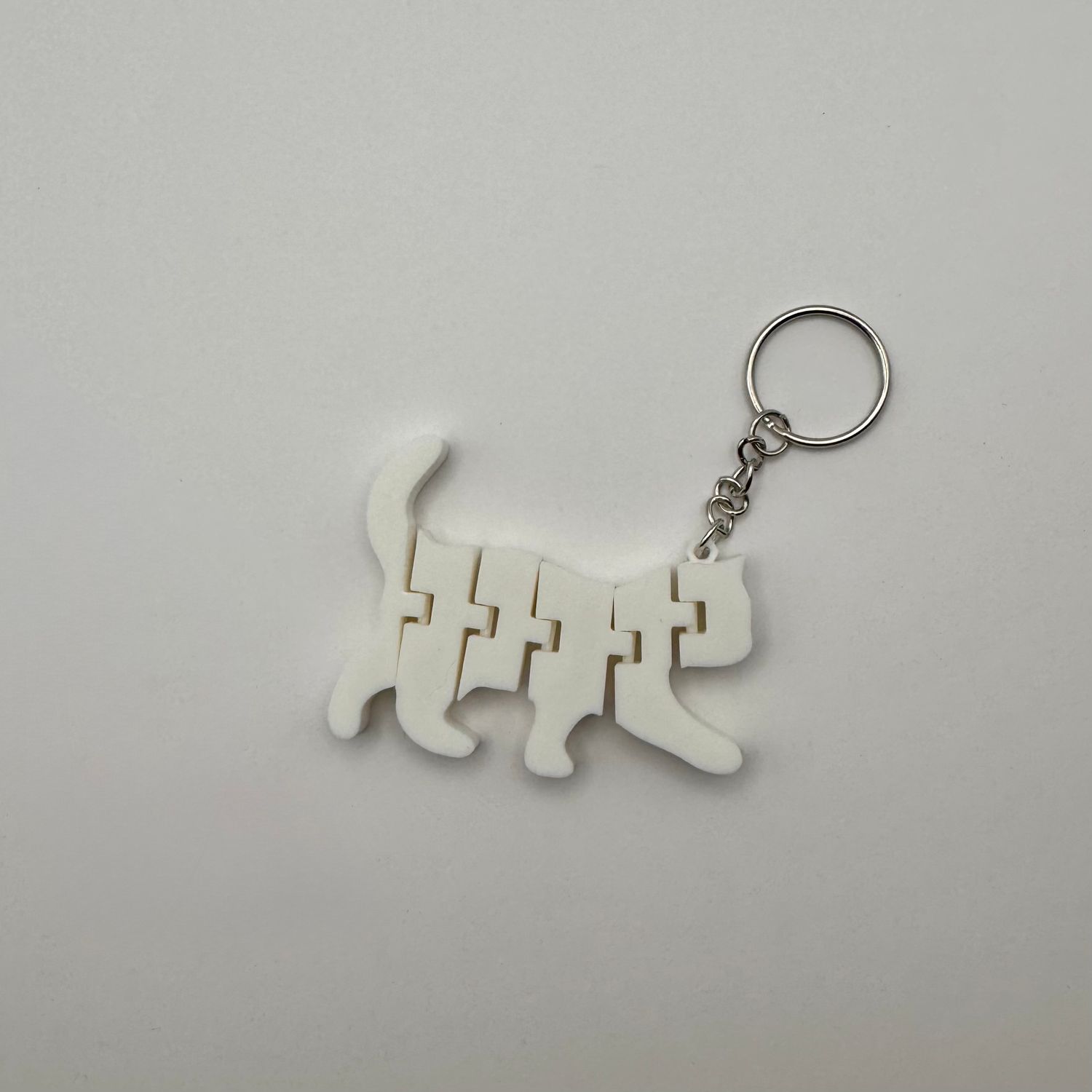 Pet Keychain