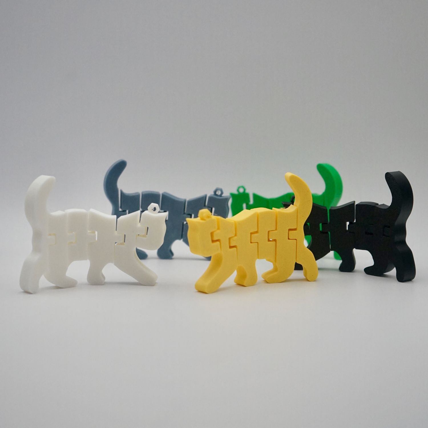 Pet Keychain
