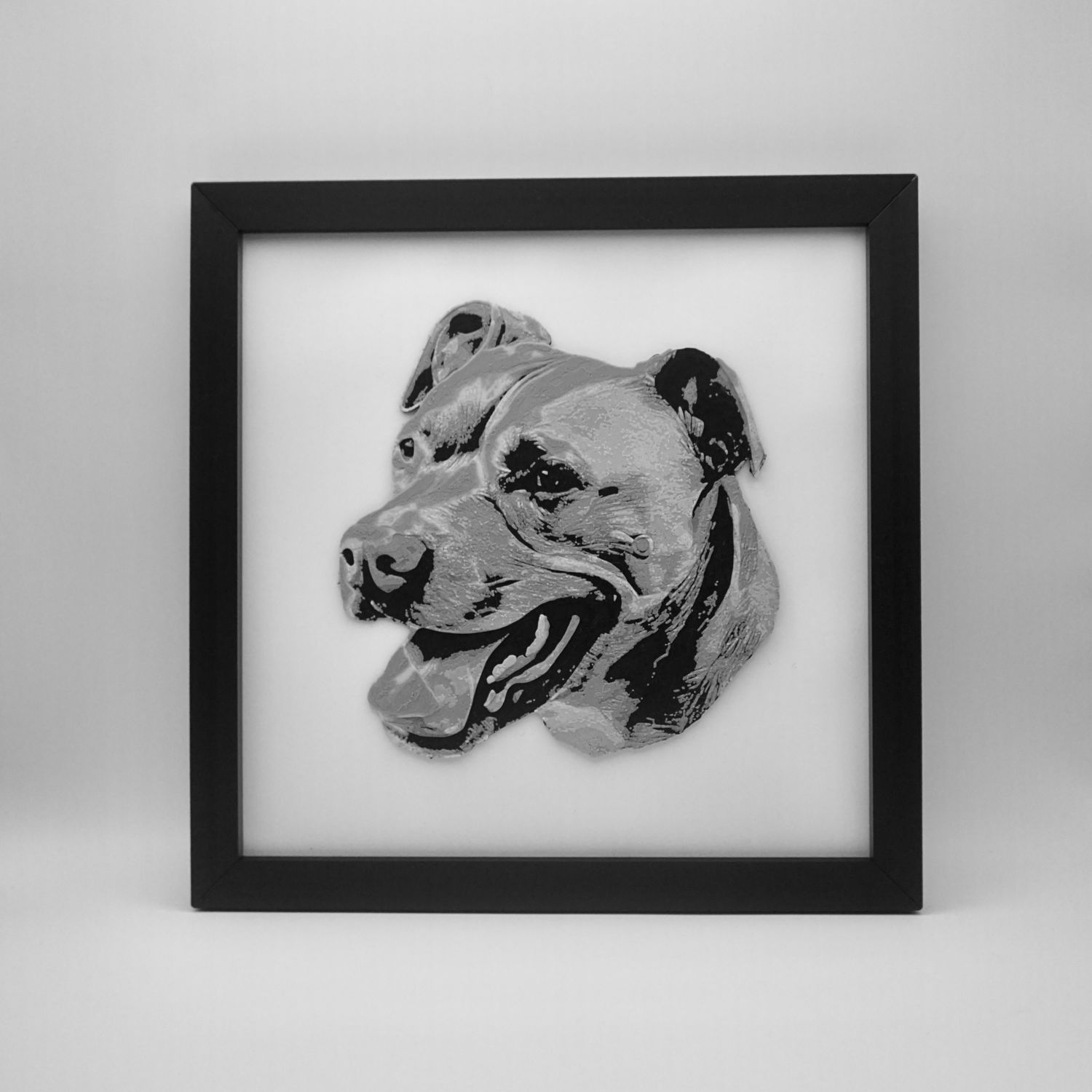 3D Pet Print, Frame Material: Plastic