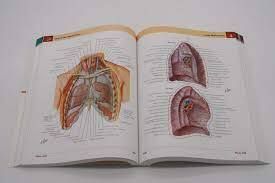 Netter's Atlas of Human Anatomy